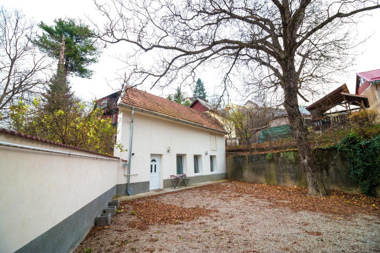 Crisan Residence - Vila Crisan Braşov Exteriör bild